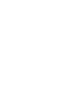 Organizacion-ISO-blanco